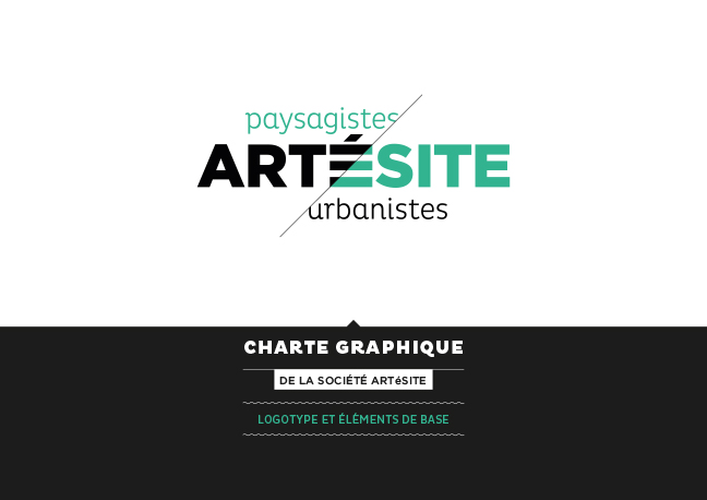 graphik-shaker-artesite-charte_graphique-01